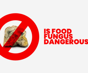 Is Food Fungus Dangerous