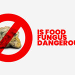 Is Food Fungus Dangerous