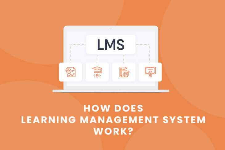 How Does Learning Management System Work