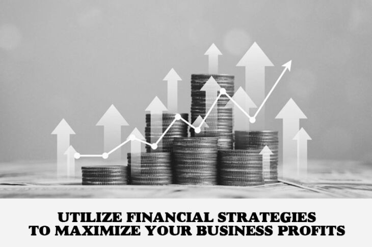 Utilize Financial Strategies to Maximize Your Business Profits