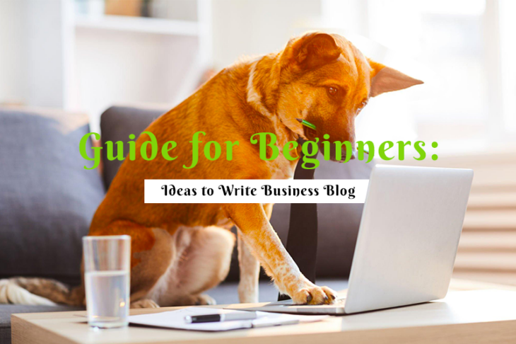 Guide for Beginners: Ideas to Write Business Blog