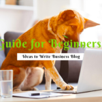 Guide for Beginners: Ideas to Write Business Blog