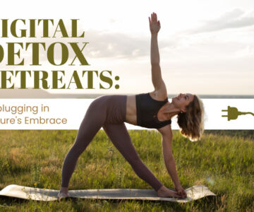 Digital Detox Retreats: Unplugging in Nature's Embrace