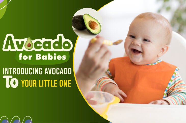 Avocado for Babies: Introducing Avocado to Your Little One