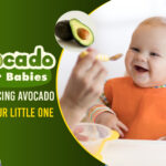 Avocado for Babies: Introducing Avocado to Your Little One