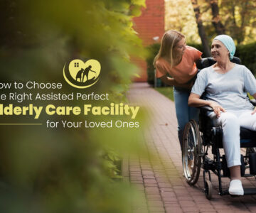 How to Choose the Right Elderly Care Facility for Your Loved Ones