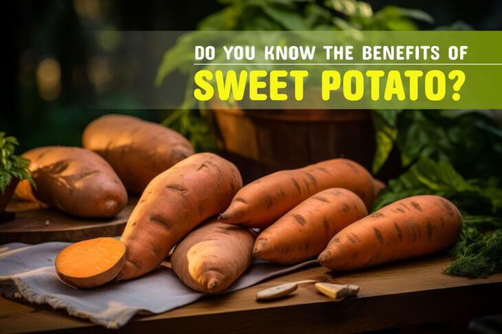 Do You Know The Benefits of Sweet Potatoes?