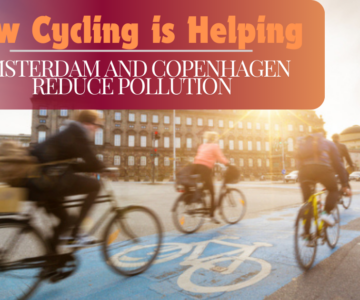 How Cycling is Helping Amsterdam and Copenhagen Reduce Pollution