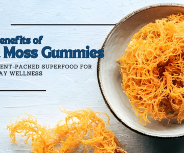 The Benefits of Sea Moss Gummies: A Nutrient-Packed Superfood for Everyday Wellness