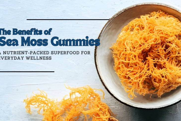 The Benefits of Sea Moss Gummies: A Nutrient-Packed Superfood for Everyday Wellness