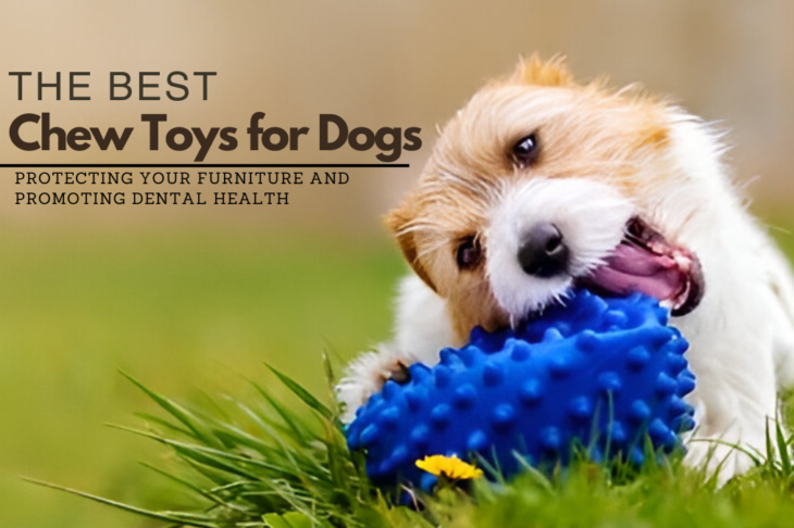 The Best Chew Toys for Dogs: Protecting Your Furniture and Promoting Dental Health