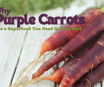 Why Purple Carrots Are a Superfood You Need in Your Diet