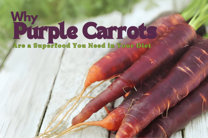 Why Purple Carrots Are a Superfood You Need in Your Diet