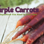 Why Purple Carrots Are a Superfood You Need in Your Diet