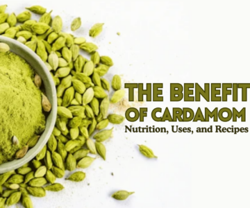 Discovering the Benefits of Cardamom Nutrition, Uses, and Recipes