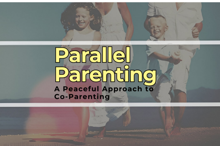 The Comprehensive Guide to Parallel Parenting A Peaceful Approach to Co-Parenting in High-Conflict Situations