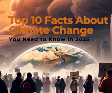 Top 10 Facts About Climate Change You Need to Know in 2025