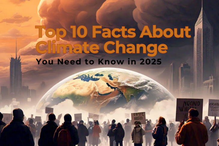 Top 10 Facts About Climate Change You Need to Know in 2025