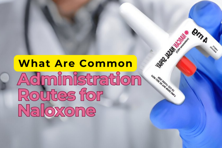 What Are Common Administration Routes for Naloxone