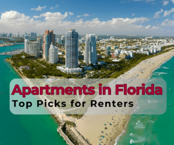 Best Town Place Apartments in Florida Top Picks for Renters