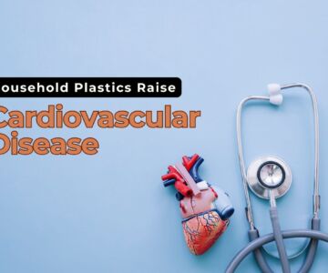 Household Plastics Raise Cardiovascular Disease Risk What You Need to Know
