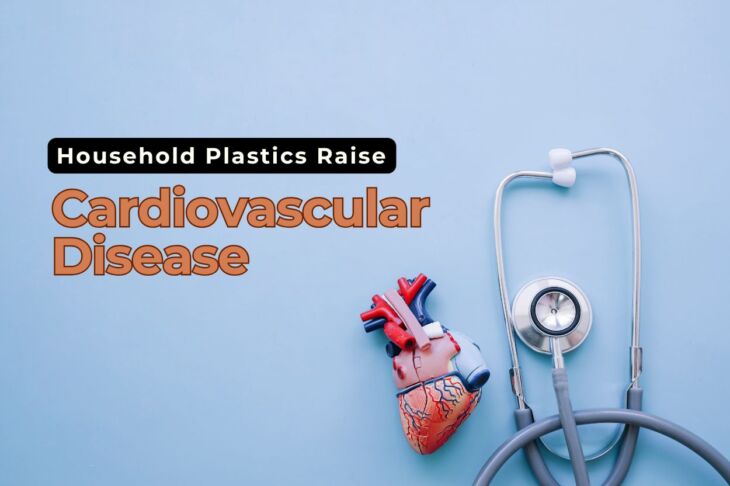 Household Plastics Raise Cardiovascular Disease Risk What You Need to Know