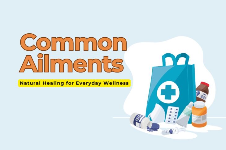 The Best Healthy Medicines for Common Ailments: Natural Healing for Everyday Wellness