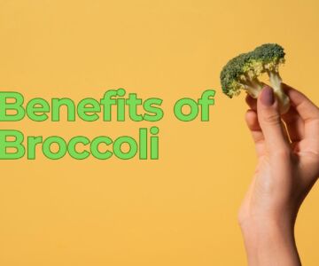 Top 5 Health Benefits of Broccoli: A Superfood for Every Diet