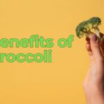 Top 5 Health Benefits of Broccoli: A Superfood for Every Diet