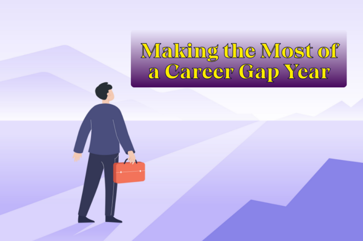 Career Gap Year