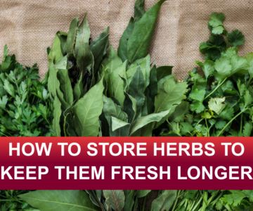 Store Herbs