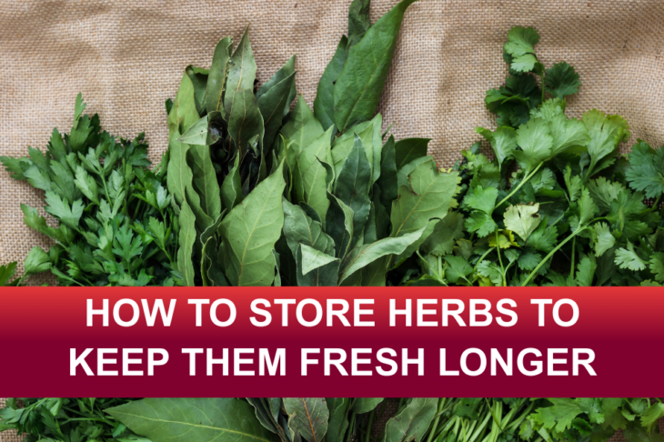 Store Herbs