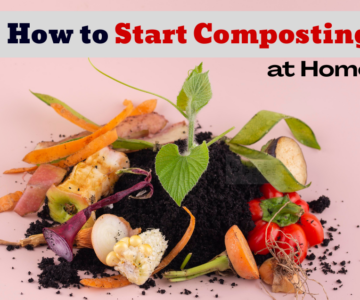Composting at Home