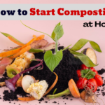 Composting at Home