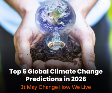 Climate Change Predictions
