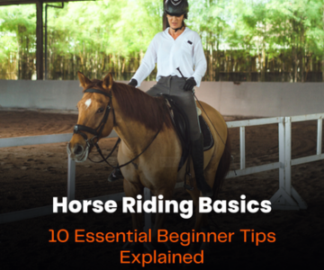 Horse Riding Basics