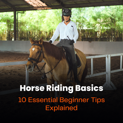 Horse Riding Basics
